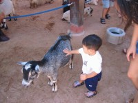 [20020829a_48.jpg]