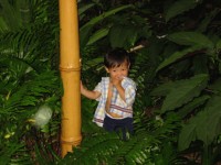 [20020829b_02.jpg]