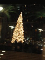 [20021221_22.jpg]