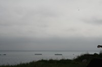 [20070526a_05.jpg]