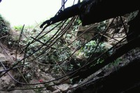 [20070526a_55.jpg]