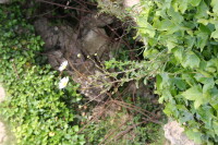 [20070526a_61.jpg]