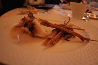 [20070527b_26.jpg]