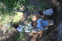 [20071020_39.jpg]